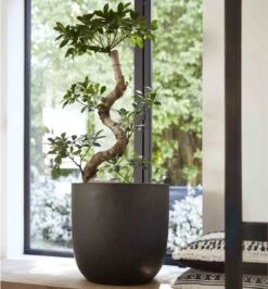 Capi Europe - Bloempot Bol Smooth NL - 35x34 - Zwart - Voor Binnen En Buiten - KBL932 -Beroemde Tuinonderhouds Winkel 1116x1200