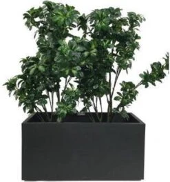 Elho Vivo Matt Finish Lang Wielen 90 - Grote Staande Plantenbak Voor Binnen & Buiten - Gemaakt Van Gereycled Plastic - L 39 X W 88 X H 41 Cm - Zwart -Beroemde Tuinonderhouds Winkel 1124x1200 1