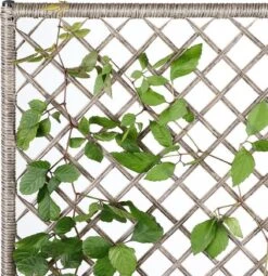 Casaria Polyrattan Bloembak – 3 Bakken Klimophek - Crème -Beroemde Tuinonderhouds Winkel 1163x1200 1