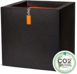Capi Europe - Bloempot Vierkant Smooth NL - 50x50x50 - Zwart - Voor Binnen En Buiten - KBL904 -Beroemde Tuinonderhouds Winkel 1200x1159 1