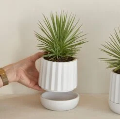 Riviera Maison Plantenbak Rond, Bloempot Met Ribbel - RM Let It Grow Planter - Wit - Porselein - Maat S 13 Riviera Maison Plantenbak Rond, Bloempot Met Ribbel - RM Let It Grow Planter - Wit - Porselein - Maat S -Beroemde Tuinonderhouds Winkel 1200x1191 3