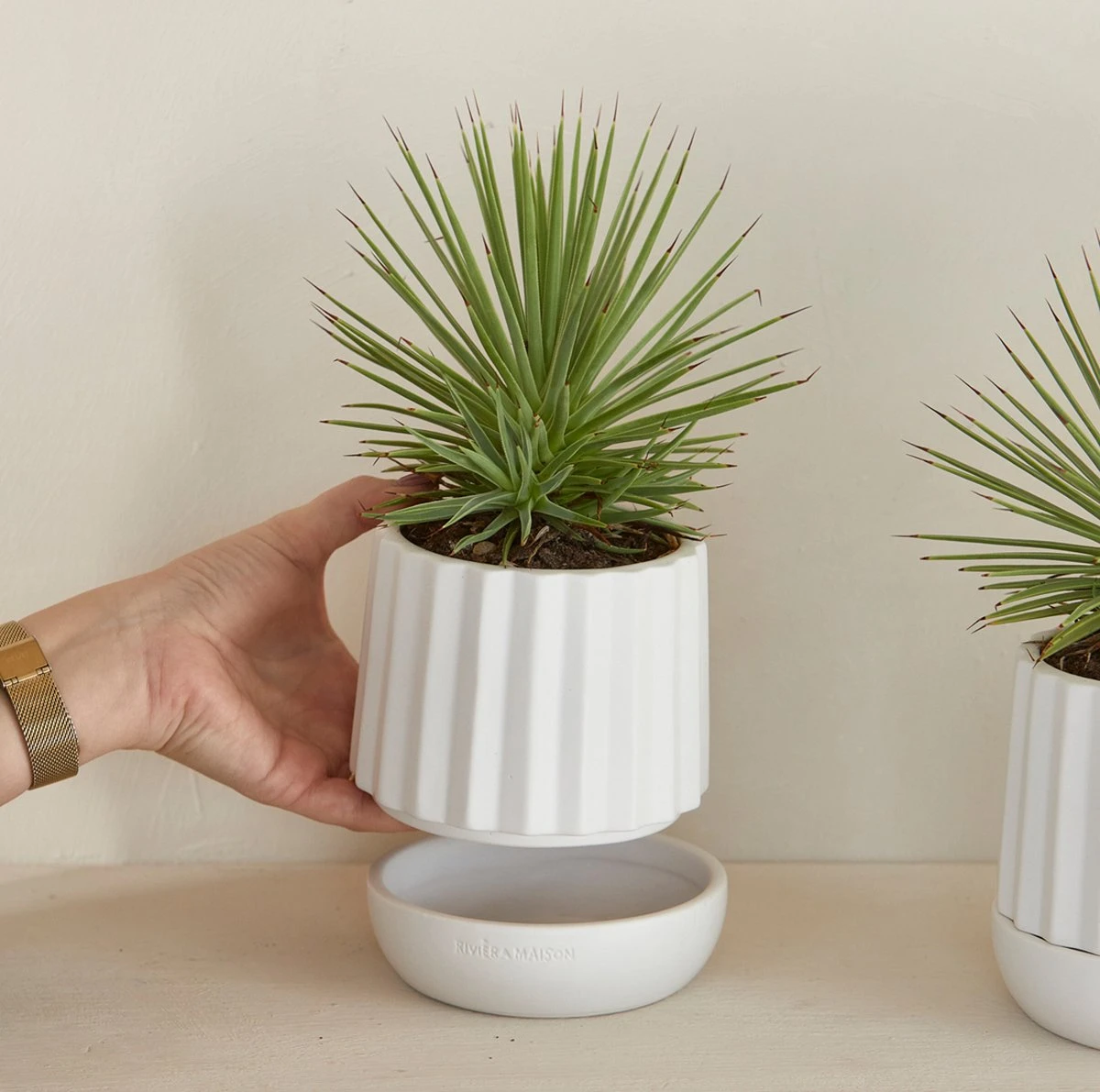 Riviera Maison Plantenbak Rond, Bloempot Met Ribbel - RM Let It Grow Planter - Wit - Porselein - Maat S 7 Riviera Maison Plantenbak Rond, Bloempot Met Ribbel - RM Let It Grow Planter - Wit - Porselein - Maat S - Afbeelding 7