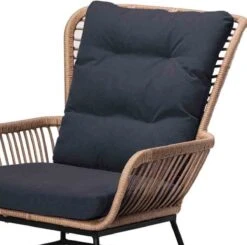 BUITEN Living Dex Wicker Loungestoel Tuin | Wicker + Aluminium | Bamboe Antraciet 11 BUITEN Living Dex Wicker Loungestoel Tuin | Wicker + Aluminium | Bamboe Antraciet -Beroemde Tuinonderhouds Winkel 1200x1192 1