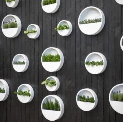 Langwerpige Witte Bloempot Van Naturn Living | Plantenbak | Bloempotten Voor Binnen En Buiten | Wit 6 Langwerpige Witte Bloempot Van Naturn Living | Plantenbak | Bloempotten Voor Binnen En Buiten | Wit -Beroemde Tuinonderhouds Winkel 1200x1195 4