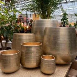 Merkloos Karakter Pot Alu Neo Gold ø40x40cm -Beroemde Tuinonderhouds Winkel 1200x1198 8