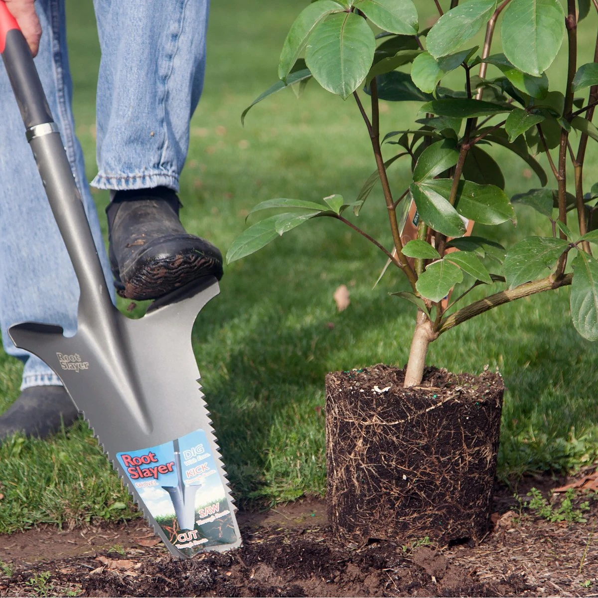 Root Slayer, Tuinschep Met Vlijmscherpe Messen - Tuingereedschap, Tuinschop, Bats, Spade, Schep, Schop, 2 Root Slayer, Tuinschep Met Vlijmscherpe Messen - Tuingereedschap, Tuinschop, Bats, Spade, Schep, Schop, - Afbeelding 2