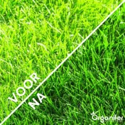 Gazonmest All-In-One (20Kg - Voor 400m2) Voor Een Diepgroen Sterk Gazon Zonder Mos En Onkruid - Complete Meststof Met Kalk En Grasversterker - Organifer -Beroemde Tuinonderhouds Winkel 1200x1200 334