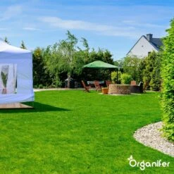 Gazonmest All-In-One (20Kg - Voor 400m2) Voor Een Diepgroen Sterk Gazon Zonder Mos En Onkruid - Complete Meststof Met Kalk En Grasversterker - Organifer -Beroemde Tuinonderhouds Winkel 1200x1200 341