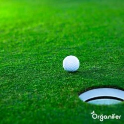 Gazonmest All-In-One (20Kg - Voor 400m2) Voor Een Diepgroen Sterk Gazon Zonder Mos En Onkruid - Complete Meststof Met Kalk En Grasversterker - Organifer -Beroemde Tuinonderhouds Winkel 1200x1200 342