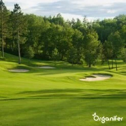 Gazonmest All-In-One (20Kg - Voor 400m2) Voor Een Diepgroen Sterk Gazon Zonder Mos En Onkruid - Complete Meststof Met Kalk En Grasversterker - Organifer -Beroemde Tuinonderhouds Winkel 1200x1200 343