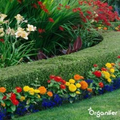 Lavagruis Uit Eifel Oergesteente (20Kg Voor 200m2) Grof Lavameel 0-2mm - Organifer 20 Lavagruis Uit Eifel Oergesteente (20Kg Voor 200m2) Grof Lavameel 0-2mm - Organifer -Beroemde Tuinonderhouds Winkel 1200x1200 351