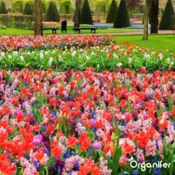 Lavagruis Uit Eifel Oergesteente (20Kg Voor 200m2) Grof Lavameel 0-2mm - Organifer 21 Lavagruis Uit Eifel Oergesteente (20Kg Voor 200m2) Grof Lavameel 0-2mm - Organifer -Beroemde Tuinonderhouds Winkel 1200x1200 352
