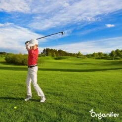 Lavagruis Uit Eifel Oergesteente (20Kg Voor 200m2) Grof Lavameel 0-2mm - Organifer 22 Lavagruis Uit Eifel Oergesteente (20Kg Voor 200m2) Grof Lavameel 0-2mm - Organifer -Beroemde Tuinonderhouds Winkel 1200x1200 353