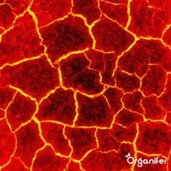 Lavagruis Uit Eifel Oergesteente (20Kg Voor 200m2) Grof Lavameel 0-2mm - Organifer 23 Lavagruis Uit Eifel Oergesteente (20Kg Voor 200m2) Grof Lavameel 0-2mm - Organifer -Beroemde Tuinonderhouds Winkel 1200x1200 354