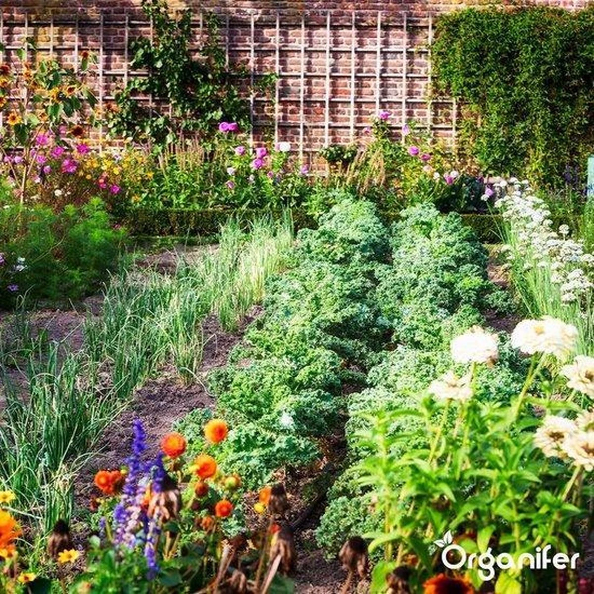 Lavagruis Uit Eifel Oergesteente (20Kg Voor 200m2) Grof Lavameel 0-2mm - Organifer 14 Lavagruis Uit Eifel Oergesteente (20Kg Voor 200m2) Grof Lavameel 0-2mm - Organifer - Afbeelding 14