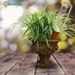 Bloomin Waterdruppelaar Van Terracotta - Waterdruppelaar Voor Planten - Druppelsysteem - Irrigatiesysteem - Watergeefsysteem - Bewateringssysteem - 8 Stuks -Beroemde Tuinonderhouds Winkel 1200x1200 499