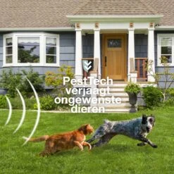 Pest-Tech PT-221 | Ultrasone Kattenverjager Op Zonneenergie | Kattenschrik | Marterverjager | Dierenverjager | Kattenafweermiddel | Ongedierte Verjager - Met USB Oplaadkabel -Beroemde Tuinonderhouds Winkel 1200x1200 535