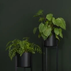 QUVIO Plantenstandaard Inclusief Pot - Staande Plantenbak - Metaal - Plantenbak - Plantenhouders - Planten Zuilen - Voor Buiten - Bloempot - 22 X 22 X 90 Cm - Zwart 9 QUVIO Plantenstandaard Inclusief Pot - Staande Plantenbak - Metaal - Plantenbak - Plantenhouders - Planten Zuilen - Voor Buiten - Bloempot - 22 X 22 X 90 Cm - Zwart -Beroemde Tuinonderhouds Winkel 1200x1200 543