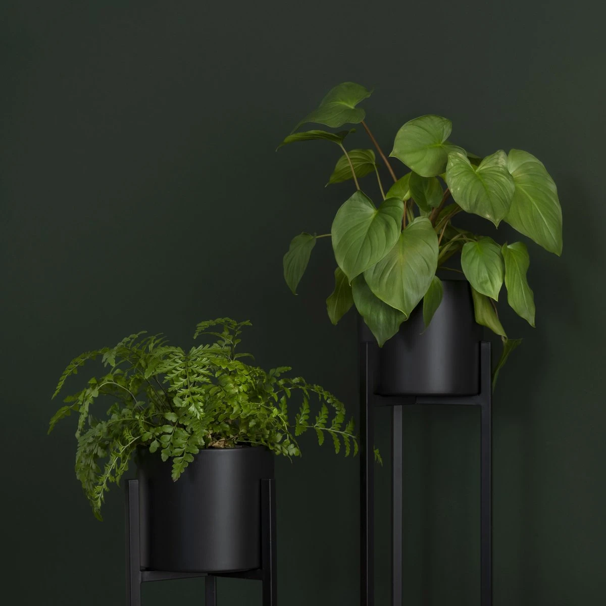 QUVIO Plantenstandaard Inclusief Pot - Staande Plantenbak - Metaal - Plantenbak - Plantenhouders - Planten Zuilen - Voor Buiten - Bloempot - 22 X 22 X 90 Cm - Zwart 4 QUVIO Plantenstandaard Inclusief Pot - Staande Plantenbak - Metaal - Plantenbak - Plantenhouders - Planten Zuilen - Voor Buiten - Bloempot - 22 X 22 X 90 Cm - Zwart - Afbeelding 4