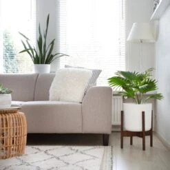 LifeGoods Planten Standaard - Uitschuifbare Bloempothouder - 20 Tot 30 Cm - Donker Bamboe 12 LifeGoods Planten Standaard - Uitschuifbare Bloempothouder - 20 Tot 30 Cm - Donker Bamboe -Beroemde Tuinonderhouds Winkel 1200x1200 544