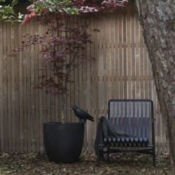 Capi Europe - Bloempot Bol Smooth NL - 35x34 - Zwart - Voor Binnen En Buiten - KBL932 -Beroemde Tuinonderhouds Winkel 1200x1200 552