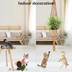 4 Stuks Luxe Jute Plantenhangers - Boho Handgeweven Katoen Hangpot Voor Binnen/Buiten - Hangende Bloempot Met Kralen - Macramé Touw/Koord Hangplant Houder - Bohemian Wandhanger Decoratie - Plant Hanger - Verticale Tuin Bloempothouder Planthanger 14 4 Stuks Luxe Jute Plantenhangers - Boho Handgeweven Katoen Hangpot Voor Binnen/Buiten - Hangende Bloempot Met Kralen - Macramé Touw/Koord Hangplant Houder - Bohemian Wandhanger Decoratie - Plant Hanger - Verticale Tuin Bloempothouder Planthanger -Beroemde Tuinonderhouds Winkel 1200x1200 570