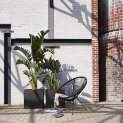 Capi Europe - Bloempot Vierkant Smooth NL - 50x50x50 - Zwart - Voor Binnen En Buiten - KBL904 -Beroemde Tuinonderhouds Winkel 1200x1200 572