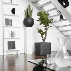 Capi Europe - Bloempot Vierkant Smooth NL - 50x50x50 - Zwart - Voor Binnen En Buiten - KBL904 -Beroemde Tuinonderhouds Winkel 1200x1200 579