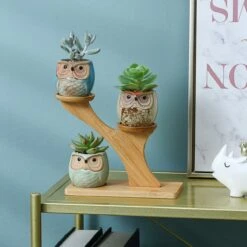 Luxe Bamboe Houten Boom Met 3 Keramiek Uil Bloempotten/Plantenpotten Op Standaard/Voet Voor Binnen En Buiten - Modern Design Bloempot/Plantenpot Op Poten/Pootjes-Plantenbak Mini Cactus Nep Plant Pot Houder - Kleine Bloembakken Plantenrek/Plantenkurk -Beroemde Tuinonderhouds Winkel 1200x1200 587