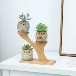 Luxe Bamboe Houten Boom Met 3 Keramiek Uil Bloempotten/Plantenpotten Op Standaard/Voet Voor Binnen En Buiten - Modern Design Bloempot/Plantenpot Op Poten/Pootjes-Plantenbak Mini Cactus Nep Plant Pot Houder - Kleine Bloembakken Plantenrek/Plantenkurk -Beroemde Tuinonderhouds Winkel 1200x1200 588