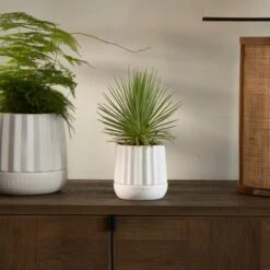 Riviera Maison Plantenbak Rond, Bloempot Met Ribbel - RM Let It Grow Planter - Wit - Porselein - Maat S 9 Riviera Maison Plantenbak Rond, Bloempot Met Ribbel - RM Let It Grow Planter - Wit - Porselein - Maat S -Beroemde Tuinonderhouds Winkel 1200x1200 591