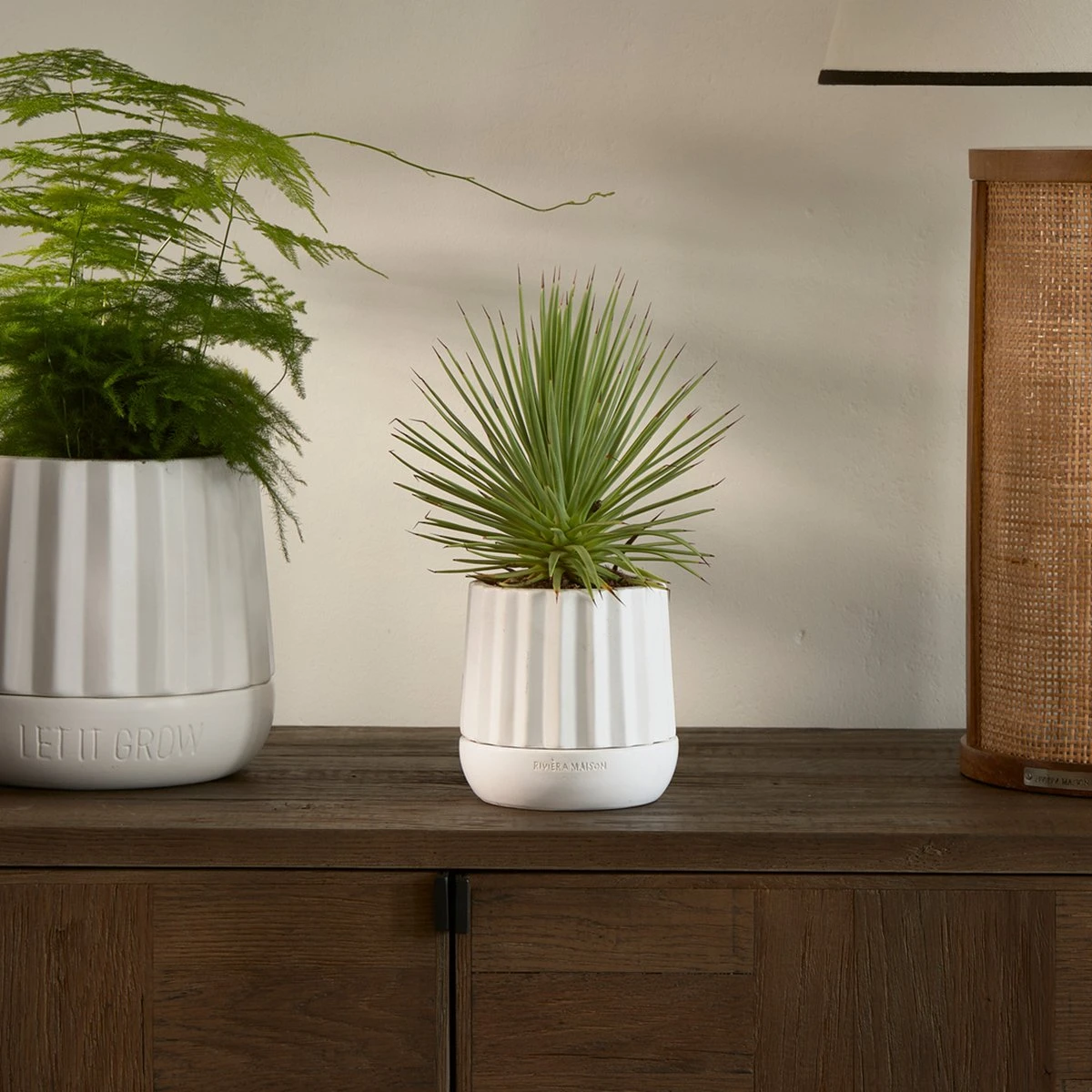 Riviera Maison Plantenbak Rond, Bloempot Met Ribbel - RM Let It Grow Planter - Wit - Porselein - Maat S 3 Riviera Maison Plantenbak Rond, Bloempot Met Ribbel - RM Let It Grow Planter - Wit - Porselein - Maat S - Afbeelding 3