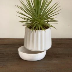 Riviera Maison Plantenbak Rond, Bloempot Met Ribbel - RM Let It Grow Planter - Wit - Porselein - Maat S 10 Riviera Maison Plantenbak Rond, Bloempot Met Ribbel - RM Let It Grow Planter - Wit - Porselein - Maat S -Beroemde Tuinonderhouds Winkel 1200x1200 592