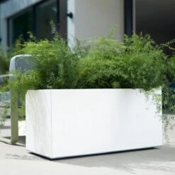 Elho Vivo Matt Finish Lang Wielen 90 - Grote Staande Plantenbak Voor Binnen & Buiten - Gemaakt Van Gereycled Plastic - L 39 X W 88 X H 41 Cm - Wit -Beroemde Tuinonderhouds Winkel 1200x1200 607