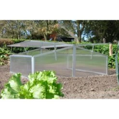 Royal Well Broeikas Silver Thyme -Beroemde Tuinonderhouds Winkel 1200x1200 619