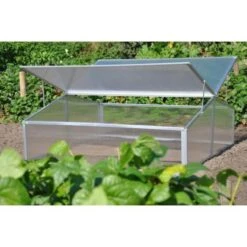 Royal Well Broeikas Silver Thyme -Beroemde Tuinonderhouds Winkel 1200x1200 621