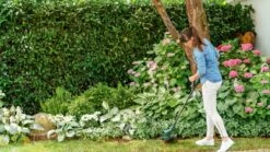 Bosch EasyGrassCut 18V-26 Grastrimmer - Zonder Accu En Lader -Beroemde Tuinonderhouds Winkel 1200x675 11