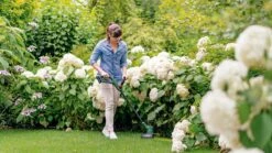 Bosch EasyGrassCut 18V-26 Grastrimmer - Zonder Accu En Lader -Beroemde Tuinonderhouds Winkel 1200x675 14