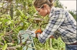 Stihl Accu Mini Kettingzaag SET - Snoeischaar - Snoeizaag - Hand Kettingzaag - Professioneel- Hovenier- Tuinman -Beroemde Tuinonderhouds Winkel 1200x779