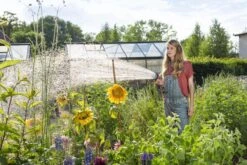 GARDENA - Comfort Broeskop - 5 Straalsoorten - Grijs -Beroemde Tuinonderhouds Winkel 1200x800 105