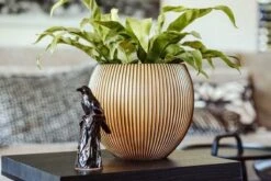 Capi Europe - Vaas Bol Groove XL - 63x51 - Goud - Bloempot Voor Binnen - Opening ⌀42 - GVGB271 -Beroemde Tuinonderhouds Winkel 1200x800 144