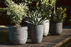 Capi Europe - Bloempot Bol Rib NL - 35x34 - Antraciet - Voor Binnen En Buiten - KOFZ932 -Beroemde Tuinonderhouds Winkel 1200x800 145