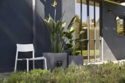 Capi Europe - Bloempot Vierkant Smooth NL - 50x50x50 - Zwart - Voor Binnen En Buiten - KBL904 -Beroemde Tuinonderhouds Winkel 1200x800 147