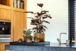 Capi Europe - Vaas Bol Groove XL - 39x33 - Goud - Bloempot Voor Binnen - Opening ⌀24 - GVGB270 -Beroemde Tuinonderhouds Winkel 1200x800 151