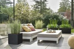 Elho Vivo Next Vierkant 40 - Plantenbak Voor Binnen & Buiten - Ø 39.0 X H 37.9 Cm - Zwart/Living Black -Beroemde Tuinonderhouds Winkel 1200x800 155