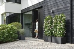 Elho Vivo Next Vierkant 40 - Plantenbak Voor Binnen & Buiten - Ø 39.0 X H 37.9 Cm - Zwart/Living Black -Beroemde Tuinonderhouds Winkel 1200x800 156