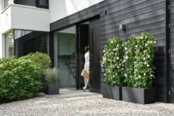 Elho Vivo Next Vierkant 40 - Plantenbak Voor Binnen & Buiten - Ø 39.0 X H 37.9 Cm - Zwart/Living Black -Beroemde Tuinonderhouds Winkel 1200x800 157