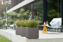 Elho Vivo Structure Finish Vierkant 40 - Plantenbak Voor Binnen & Buiten - Ø 39 X H 41 - Grijs/Warm Grijs -Beroemde Tuinonderhouds Winkel 1200x800 159