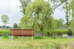 MaximaVida Tuinbank Budapest Oil 170 Cm - Uit Exclusief Mahoniehout 15 MaximaVida Tuinbank Budapest Oil 170 Cm - Uit Exclusief Mahoniehout -Beroemde Tuinonderhouds Winkel 1200x800 51