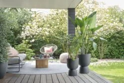 Elho Pure Coupe 41 - Bloempot Voor Binnen & Buiten - Ø 41.3 X H 57.9 Cm - Zwart/Zwart 18 Elho Pure Coupe 41 - Bloempot Voor Binnen & Buiten - Ø 41.3 X H 57.9 Cm - Zwart/Zwart -Beroemde Tuinonderhouds Winkel 1200x805 2